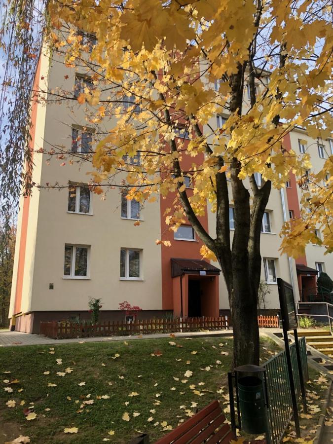 Apartament Krakowska Salzberg Exterior foto